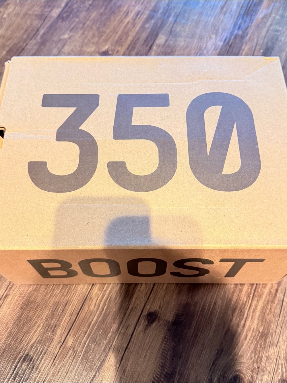 adidas Yeezy Boost 350